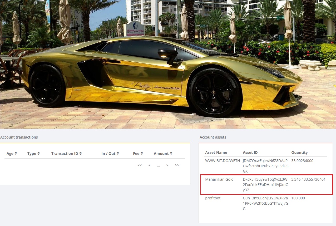 MGOLD%20is%20the%20Lambo%20of%20Crypto